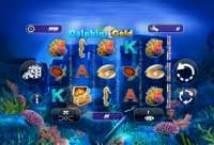 Dolphins Gold Slot Review